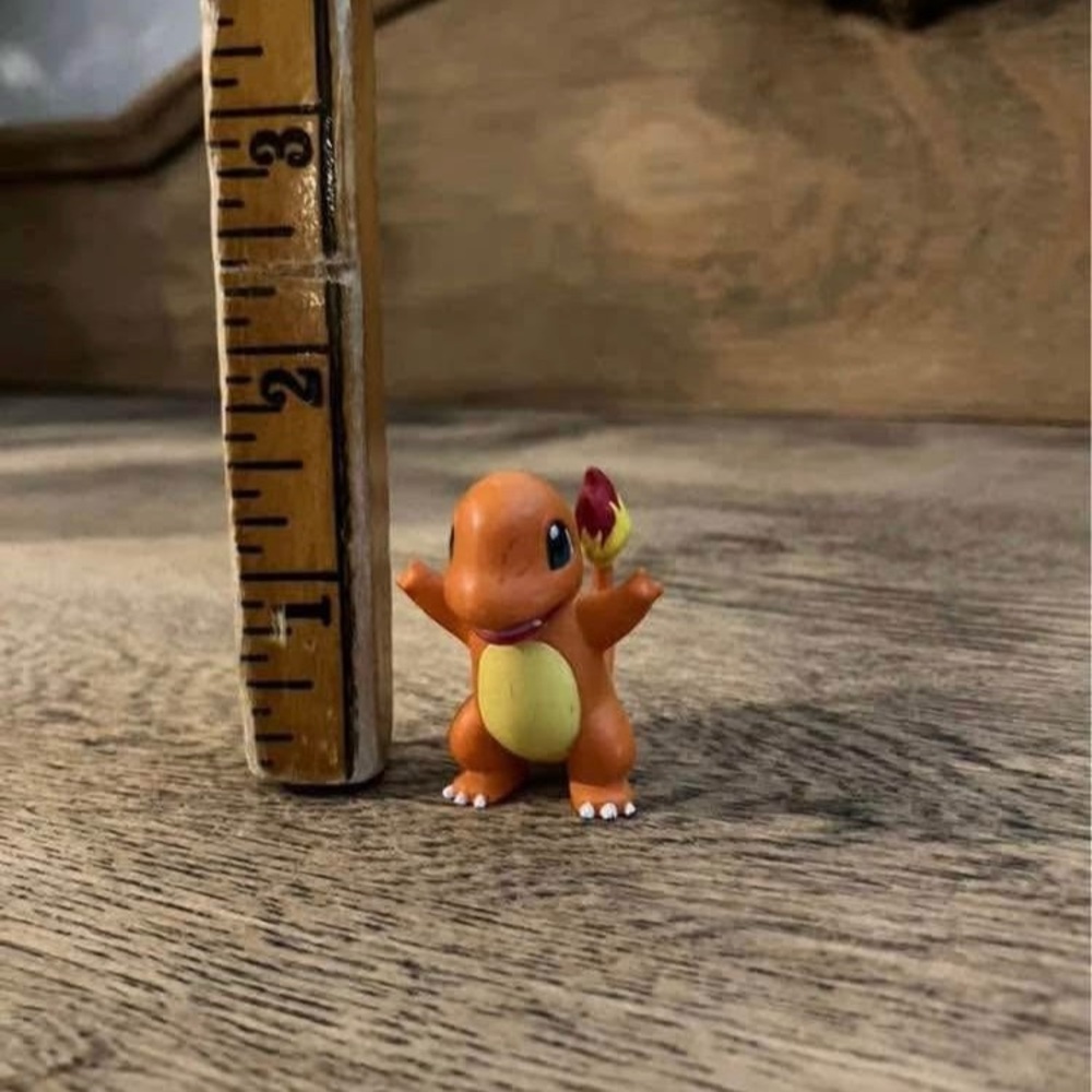 Pokémon Charmander Action
Figure